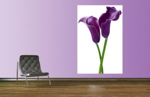 Purple Calla Lilies Giant Photographic Print - Image 2