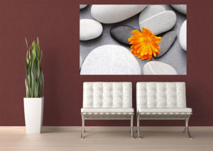 A Flower Among Stones Giant Photographic Print - Image 2