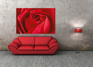 The Important Thing Is The Rose Giant Photographic Print - Image 2