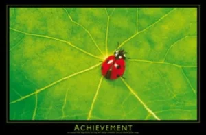 Achievement Ladybug Ladybird Mini Poster