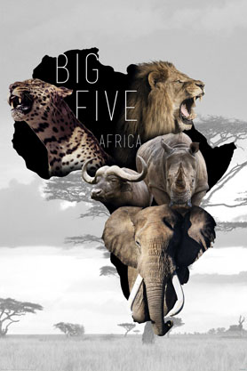 The Big Five Poster — Poster Plus | Poster