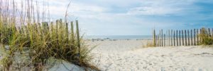 Dunes And Beach Jumbo Poster