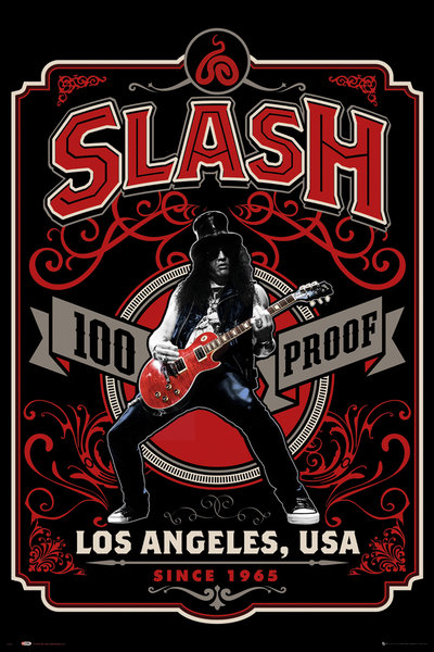 slash guitar poster