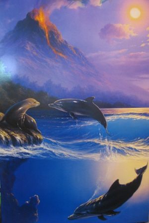 Dolphins and Seal Poster