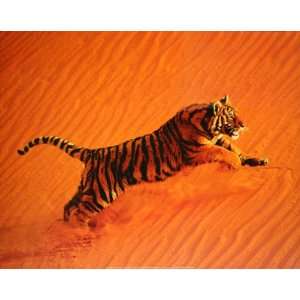 Desert Tiger — Poster Plus