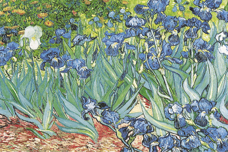 Vincent Van Gogh - Irises Poster — Poster Plus