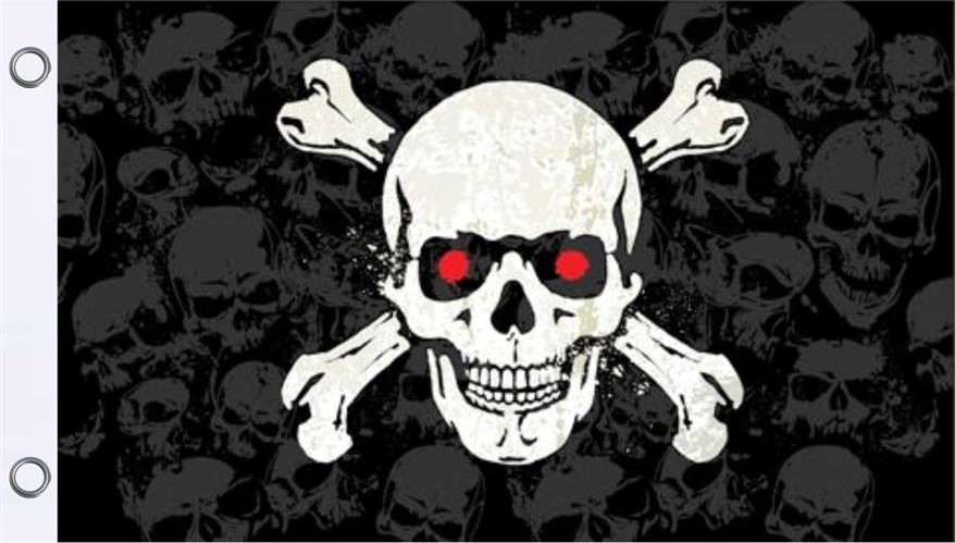 Skull And Crossbones Flag Poster Plus   F2Aflyflag2new 