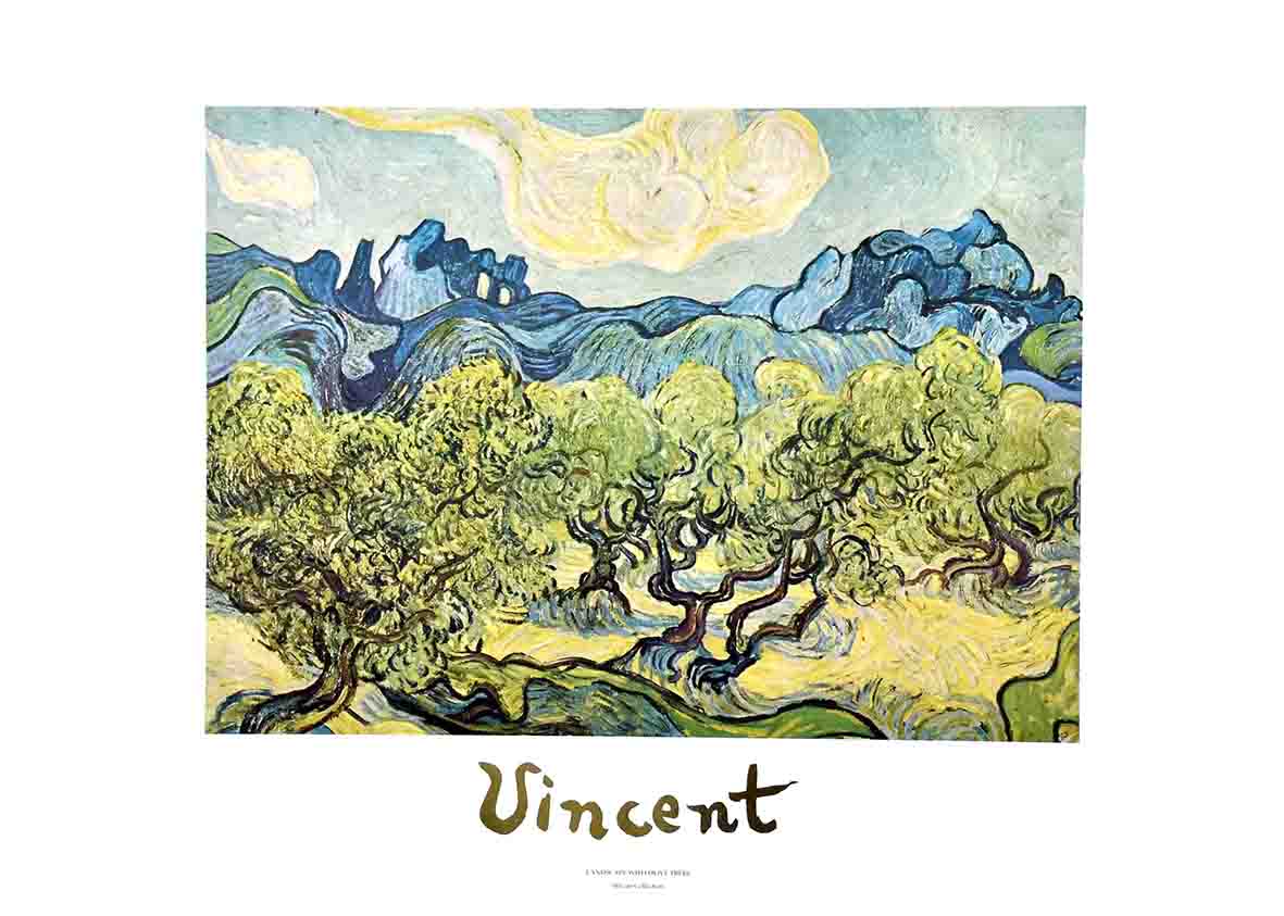 Vincent Van Gogh Landscape Olive Trees — Poster Plus