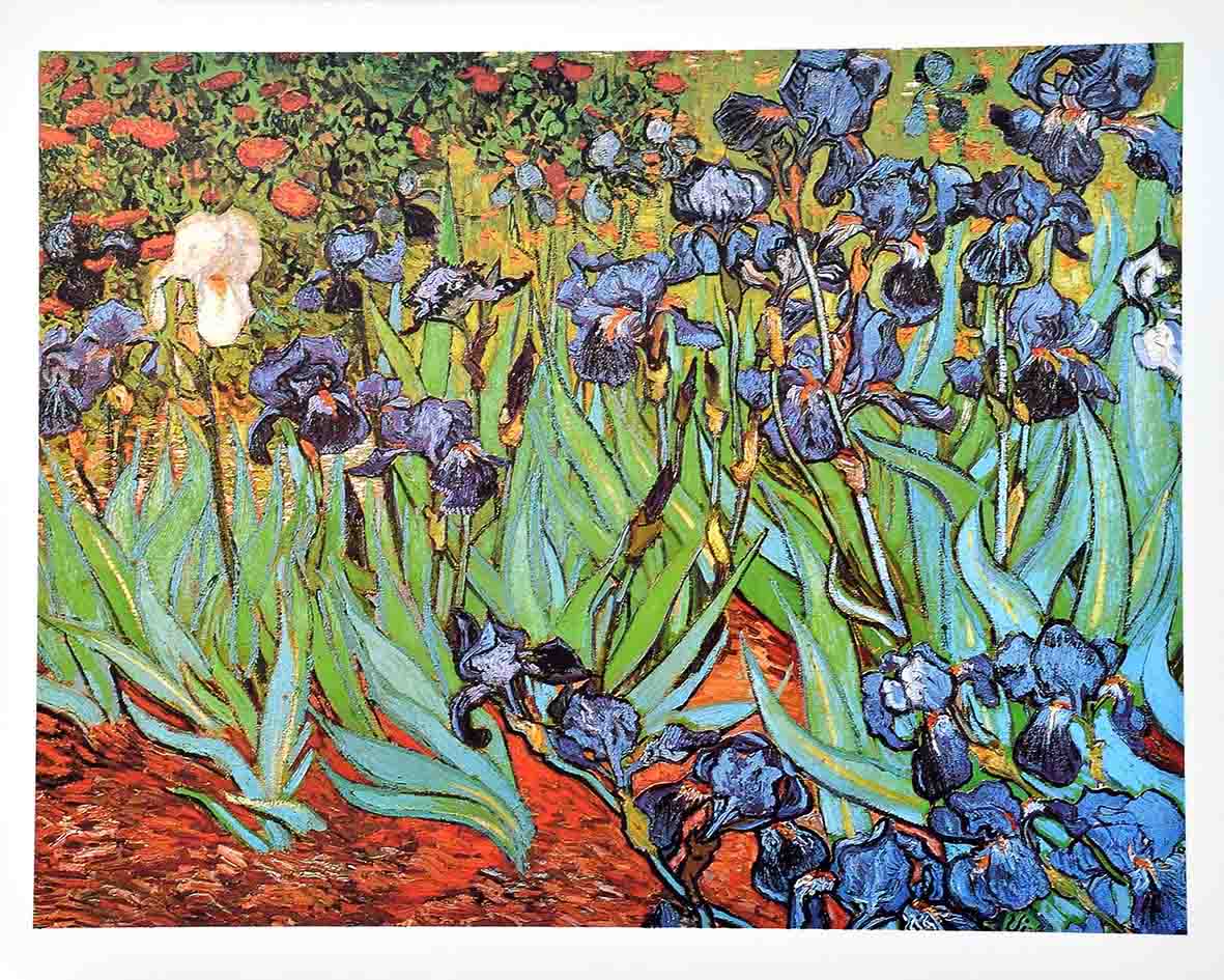 Vincent Van Gogh - Irises — Poster Plus