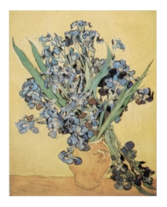 Vincent Van Gogh - Les Iris — Poster Plus