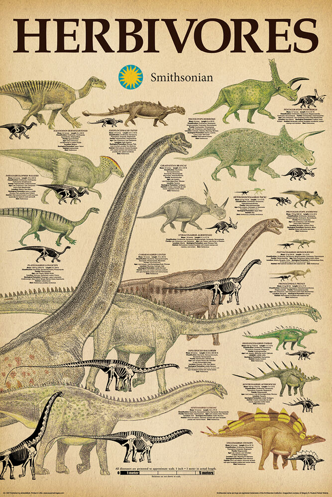 Poster 61x91,5 cm Dinosaurier