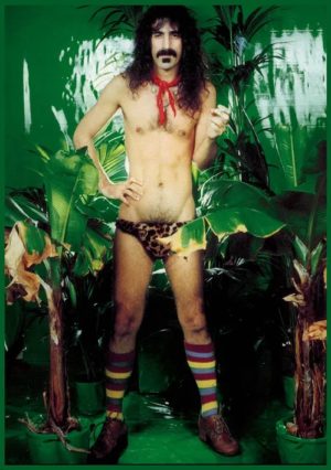 Frank Zappa in leopard skin underpants in a 70s green scene