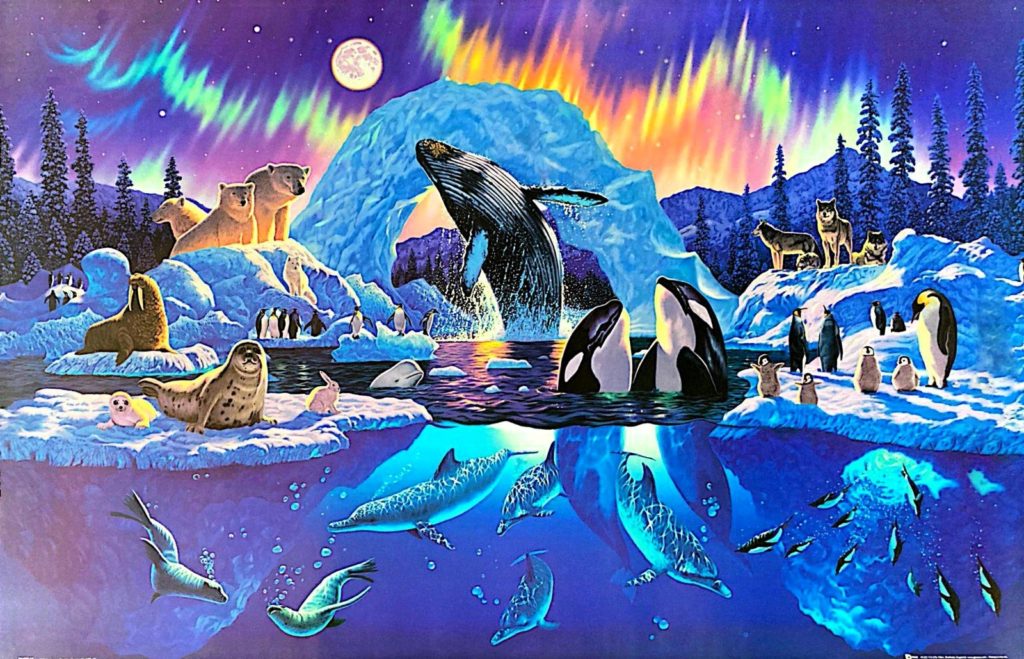 Arctic Animals Poster — Poster Plus