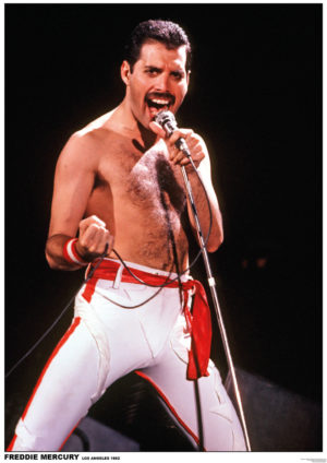 Freddie Mercury Live Poster