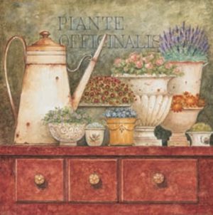 Eric Barjot - Medicinal Plants Italian Art Print