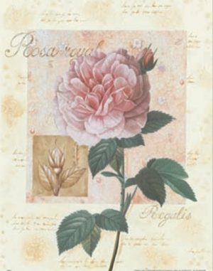 Royal Rose Art Print