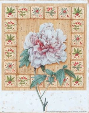 Peony On Mottled Background Art Print