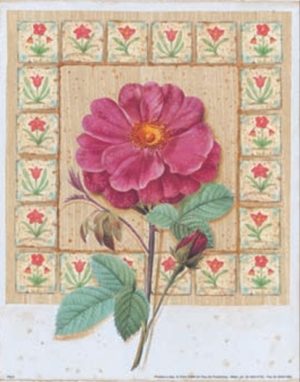 Wild Rose On Mottled Background Art Print