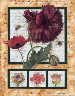 Poppy And Friends Art Print