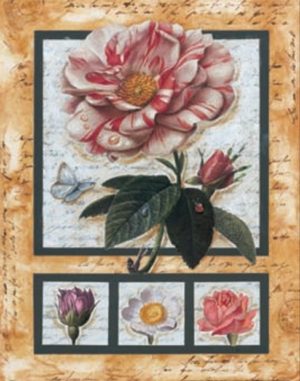 French Rose And Friends Art Print