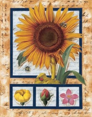 Sunflower And Friends Art Print