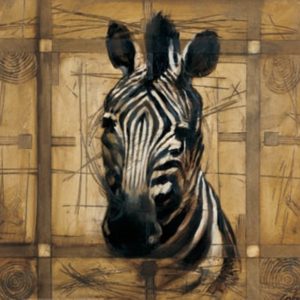 Costa Charalambous - Zebra Art Print