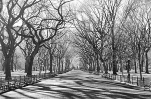 New York Poets Walk Giant Photographic Print