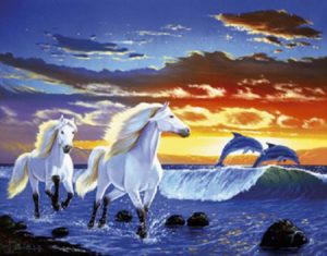 Gabriele Berndt - Freedom at Sunset Poster