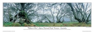 Phil Gray - Wallace's Hut Oversize Photographic Print