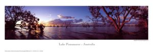Phil Gray - Lake Pamamaroo 1996 Photographic Print