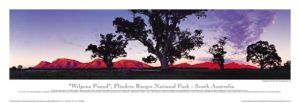 Phil Gray - Wilpena Pound 1997 Photographic Print