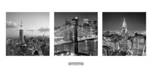 New York Views Triptych Photographic Print