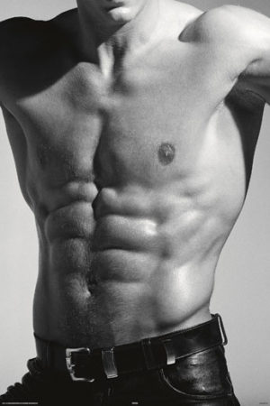 Torso Silver Poster