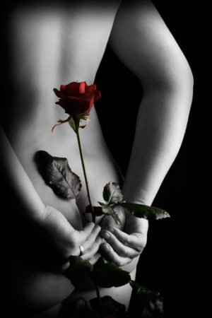 Secret Rose