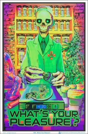 What's Your Pleasure Skeleton Flocked Velvet Blacklight Poster