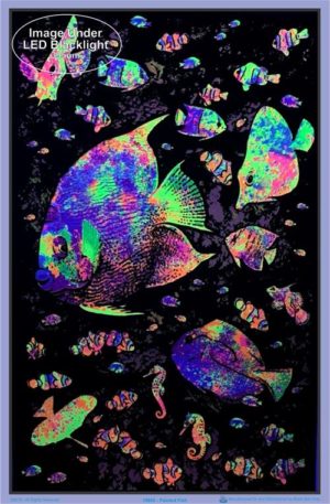 Painted Fish Flocked Velvet Blacklight Poster - Image 2