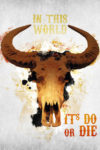 Buffalo Skull