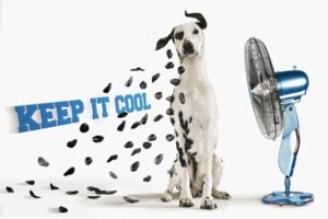 Keep It Cool