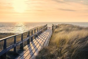 Way to the Sea