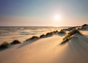 Sunny Dunes Giant Poster