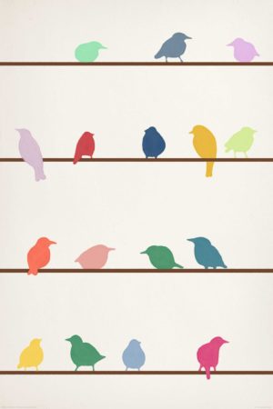 Birds