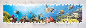 Aquarium Fish and Turtle Jumbo Poster