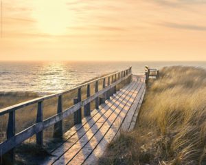 Way to the Sea