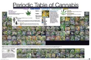 Periodic Table of Cannabis White Poster