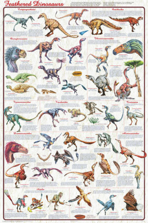 Feathered Dinosaurs Poster