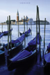 Venice Poster