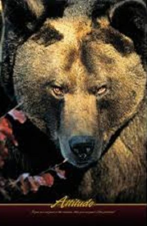 Attitude Bear Poster