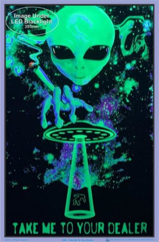 Chico - Take Me To Your Dealer Flocked Velvet Blacklight Poster - Image 2