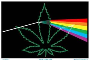 Pot Leaf Prism Flocked Velvet Blacklight Poster