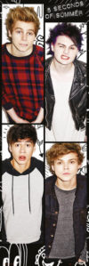 Five Seconds of Summer 5SOS Band Door Poster